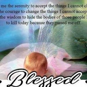 Meet your Posher, Judy couch